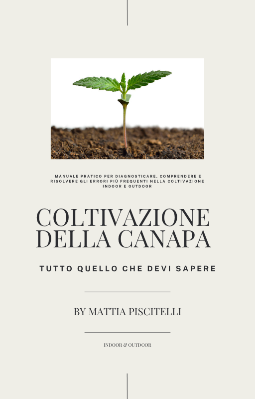 Coltivazione della Canapa - Tutto quello che devi sapere (by Mattia Piscitelli )
